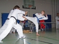 100_6999_bearbeitet-1