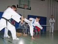 100_7002_bearbeitet-1