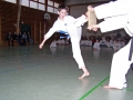 100_7007_bearbeitet-1