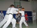 100_7010_bearbeitet-1