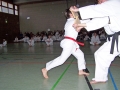 100_7011_bearbeitet-1