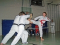 100_7015_bearbeitet-1