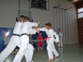 100_7016_bearbeitet-1