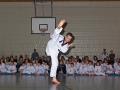 100_7026_bearbeitet-1