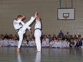 100_7034_bearbeitet-1