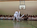 100_7050_bearbeitet-1
