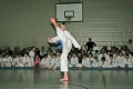 IMG_1623_bearbeitet-1