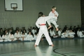 IMG_1716_bearbeitet-1