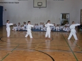 IMG_1459_bearbeitet-1.jpg