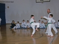 IMG_1534_bearbeitet-1.jpg