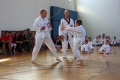 IMG_9305_bearbeitet-1