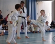 DSC04198_bearbeitet-1