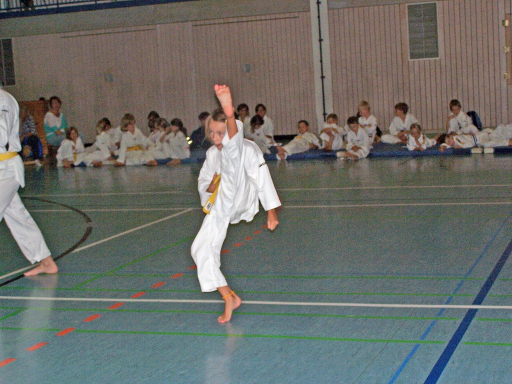 100_8247_bearbeitet-1