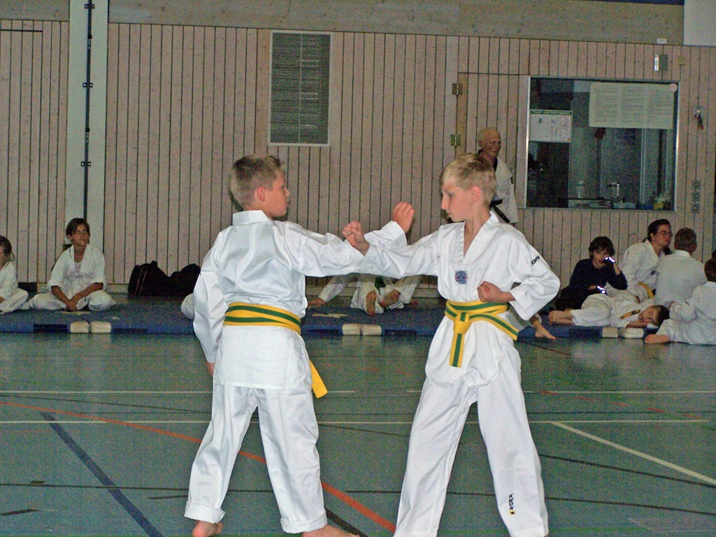 100_8283_bearbeitet-1