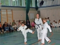 100_8171_bearbeitet-1