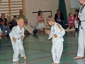 100_8189_bearbeitet-1