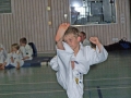 100_8197_bearbeitet-1