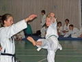 100_8201_bearbeitet-1