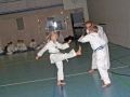 100_8212_bearbeitet-1
