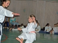 100_8222_bearbeitet-1