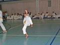 100_8247_bearbeitet-1