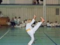 100_8254_bearbeitet-1