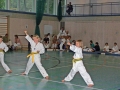 100_8270_bearbeitet-1
