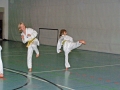 100_8276_bearbeitet-1