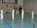 100_8281_bearbeitet-1