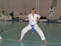 100_8293_bearbeitet-1