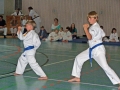 100_8296_bearbeitet-1