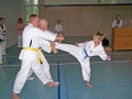 100_8301_bearbeitet-1