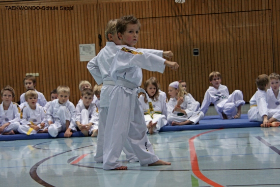 IMG_3650_bearbeitet-1.jpg