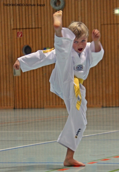 IMG_3932_bearbeitet-2.jpg
