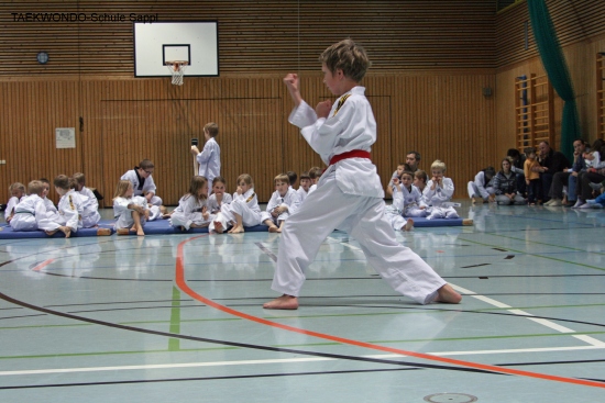IMG_4094_bearbeitet-1.jpg