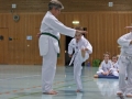 IMG_3636_bearbeitet-1.jpg