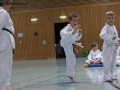 IMG_3638_bearbeitet-1.jpg