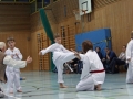 IMG_3641_bearbeitet-1.jpg