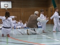 IMG_3642_bearbeitet-1.jpg