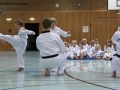 IMG_3643_bearbeitet-1.jpg