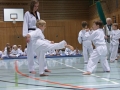 IMG_3657_bearbeitet-1.jpg