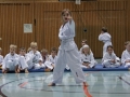 IMG_3674_bearbeitet-1.jpg
