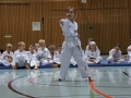 IMG_3678_bearbeitet-1.jpg