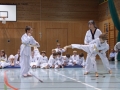 IMG_3708_bearbeitet-1.jpg