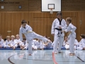 IMG_3721_bearbeitet-1.jpg