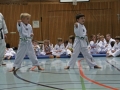 IMG_3744_bearbeitet-1.jpg