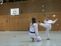 IMG_3763_bearbeitet-1.jpg