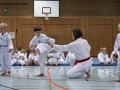 IMG_3766_bearbeitet-1.jpg