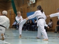 IMG_3769_bearbeitet-1.jpg