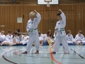 IMG_3779_bearbeitet-1.jpg